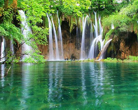 حذف ارز مسافرتي حذف ارز مسافرتي