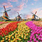 Tour of France, Belgium, Holland