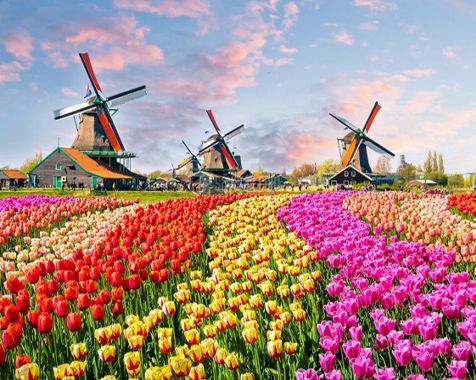 تور فرانسه بلژیک هلند تور فرانسه بلژیک هلند